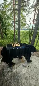 Сосновый берег - 43