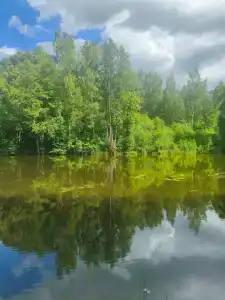 Русские просторы - 19