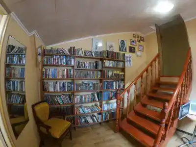 Сосны - 32