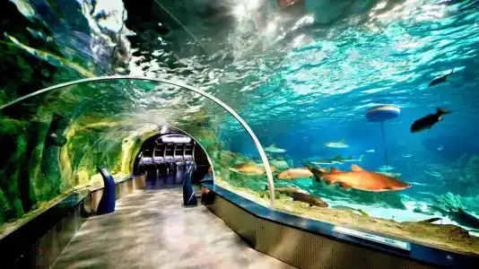 Crowne Plaza Florya Istanbul, an IHG - 22