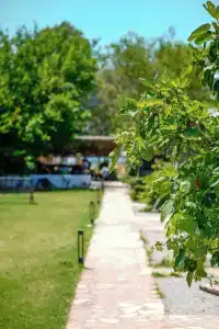 Marimare Beach & Bungalow - 4