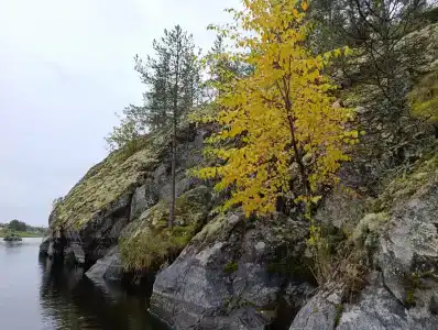 О'неженка - 36