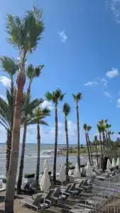 Selene Beach & Spa - Adult Only - 39