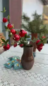 Шепот Вашаны - 14