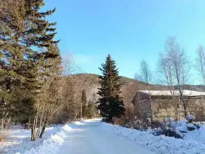 Тайга Гостевой дом - 20