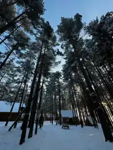 Стёпаново - 42