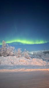 ХибиныДача - 26