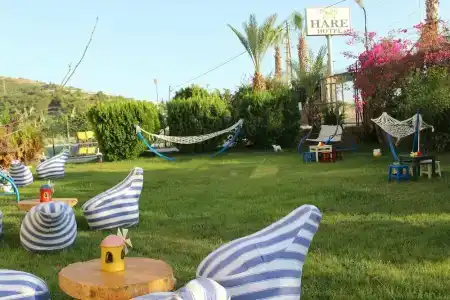 Hare - 20