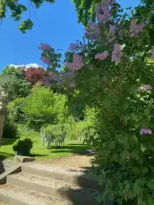 Villa Sorgenfrei & Restaurant Atelier Sanssouci - 30