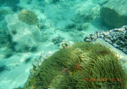 Ko Kut Ao Phrao Beach - 35