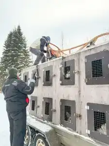 Карьяла Парк - 29