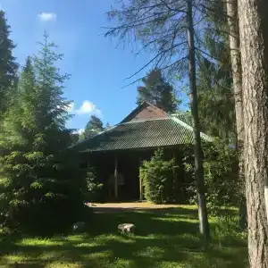 Конни - 28