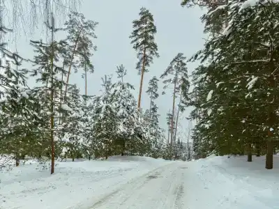 Сатурн - 24