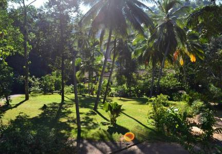 Sweet Cinnamon Kandy - 33