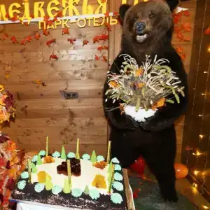 Медвежья Гора - 8