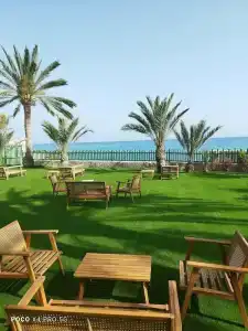 Paradisun - Adults Only Recommended - 49