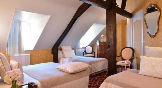 Hôtel d'Argouges - 10