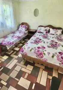 у Ипполита - 26