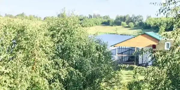 Лукоморье - 74