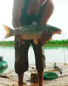 Портофлот - 26