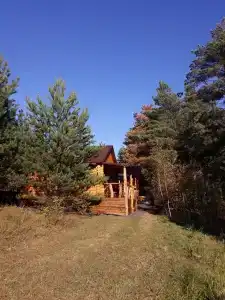 Избушка на опушке - 6