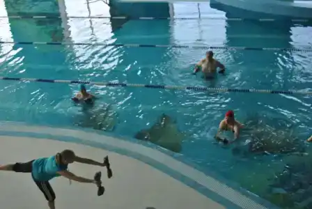 Федосьино - 23