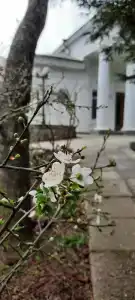 Судак - 57