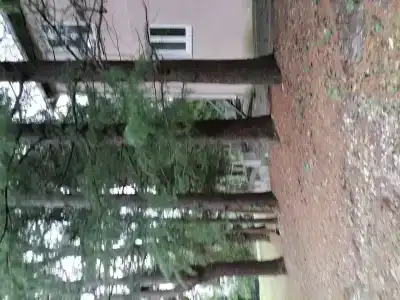 Смена - 35