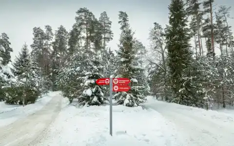 Сатурн - 25