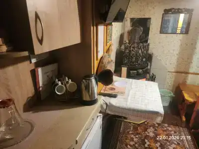 Гнездо аиста - 31