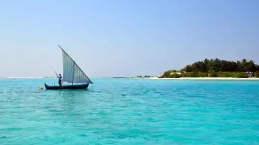 Bibee Maldives - 31