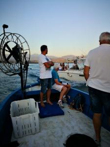 Venere - 18