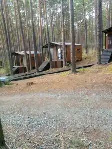 Зеленый бор - 0