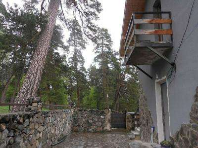 King David Bakuriani - 22