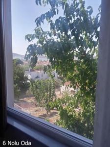 Camlaralti Pansiyon - 15