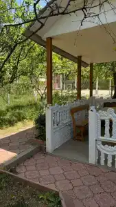 Профессорский уют - 7