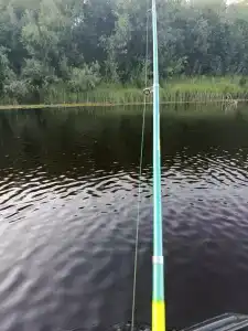 Дом с баней в деревне Горы - 22