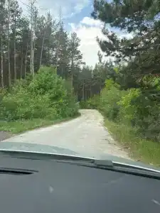 Введенский - 47
