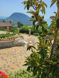 Red Stone - 5