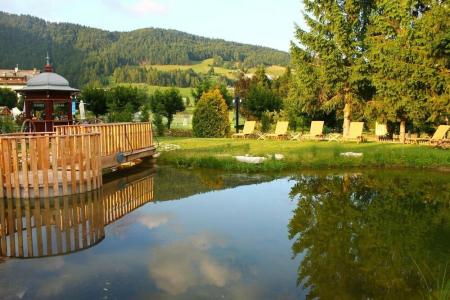 Alpen Eghel - 29