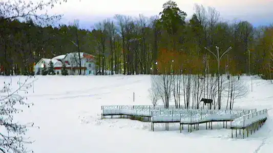 Лесная - 39