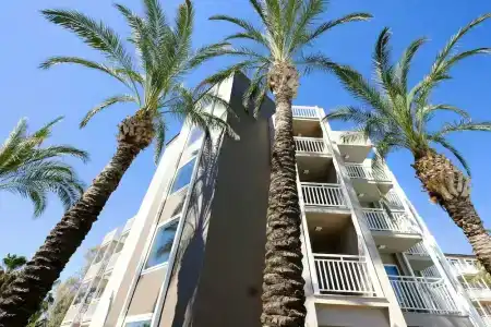 Paloma Perissia - 25