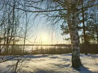 Дом с баней в деревне Горы - 23