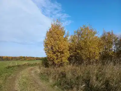 Дом с баней в деревне Горы - 28