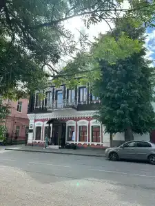 Снегири - 8