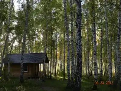 Арчекас - 40