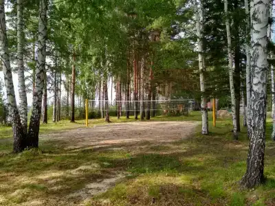 Медведчикова - 17