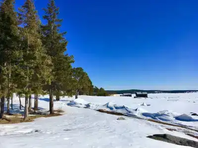 Кедр Грасс Белое Море - 9