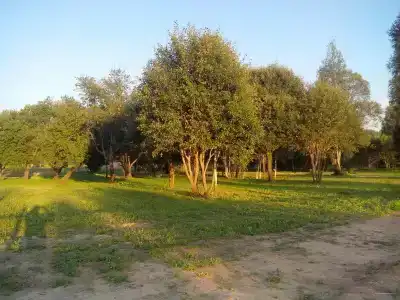 Емельяново - 60