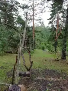 Избушка на опушке - 58